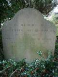 image of grave number 207635